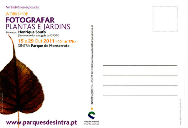 Postal, Parques de Sintra - Monte da Lua (10/11)